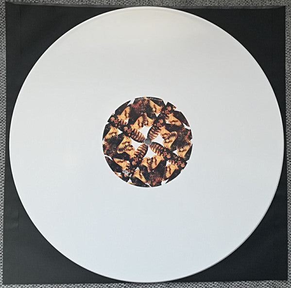 Lonely Kamel - Death's-Head Hawkmoth